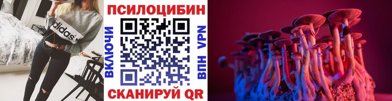 Купить где  Вяземский  Псилоцибиновые грибы Cubensis 